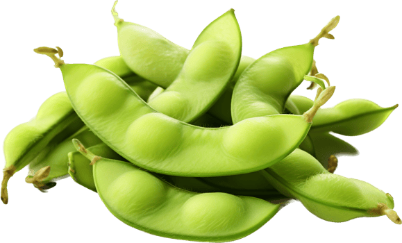 Edamame with . png