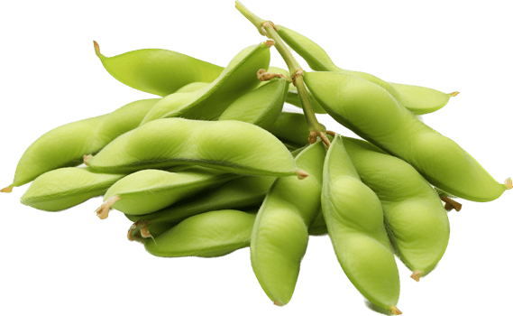Edamame with . png