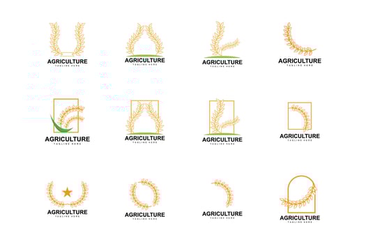 Rice Logo, Farm Wheat Logo Design, Vector Wheat Rice Icon Template Illustration
