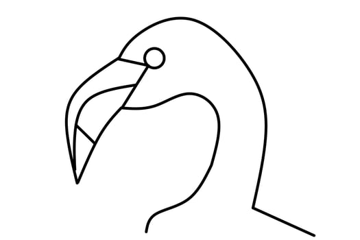 Line drawing of a pelican isolated on white background. Vector illustration.