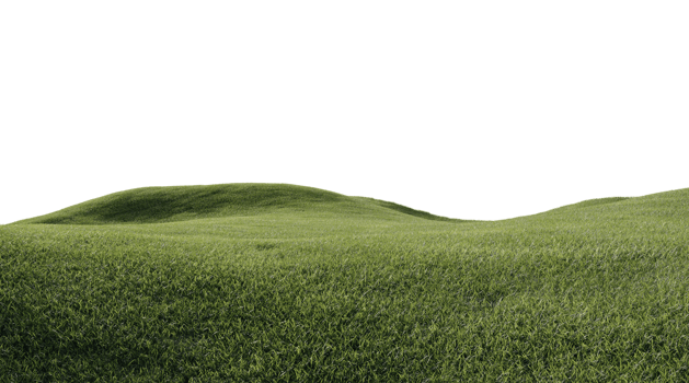 Beautiful grass and flowers landscape png