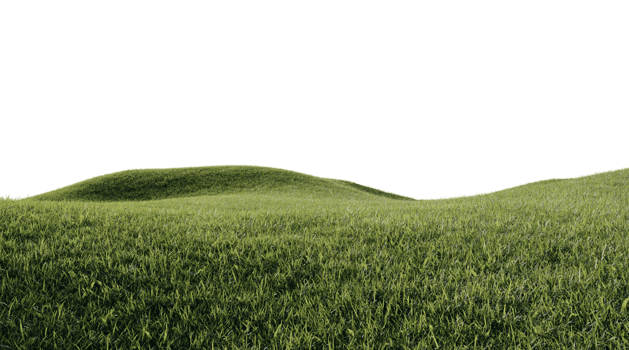 Beautiful grass and flowers landscape png