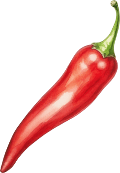 Red chilli watercolor illustration. png