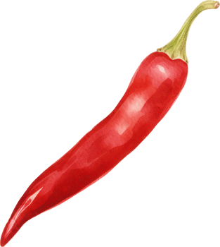 Red chilli watercolor illustration. png