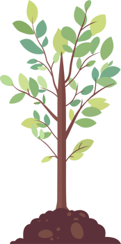 Young plants in the soil, Planted tree, Flat Style Cartoon Illustration. png