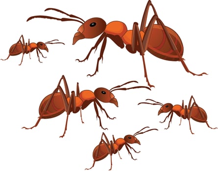 ant vector with  many ants