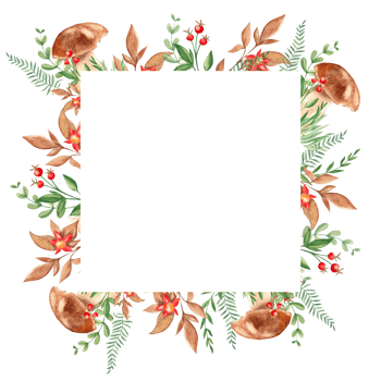 Watercolor square forest frame with porcini mushrooms, fern, green branches, red berries and wildflowers. Hand drawn botanical illustration. Can be used for logo design, as invitation card. png