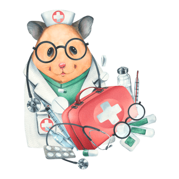 Hamster doctor in a dressing gown, glasses, with a stethoscope, a suitcase and medical instruments, pills, injections. Watercolor illustration, hand drawn. Isolated composition png