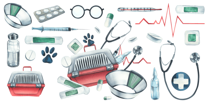Veterinary equipment. Watercolor illustration. . For the design and decoration of clinics, hospitals, first-aid posts, pharmacies for animals. Composition with elements png