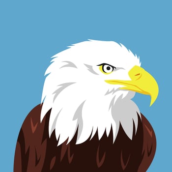 avatar of eagle face side view. vector illustration.