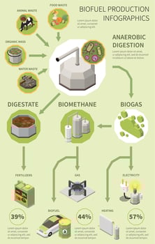 Biofuel Production Infographics vector