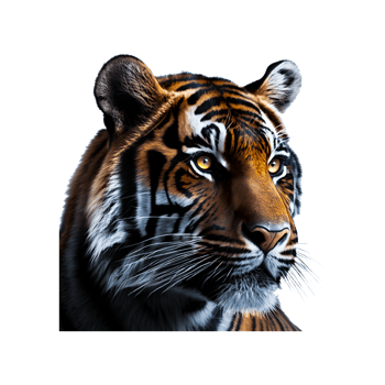 Tiger head png generative ai