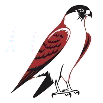 Falcon Eagle vector icon Japanese illustration style