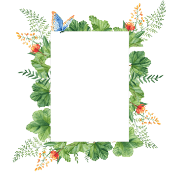 Cloudberry leaves and berries, green branches, yellow wildflowers, blue butterfly. Watercolor vertical summer forest frame. Hand drawn botanical illustration. For invitation card, birthday. png