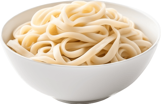 Udon with . png