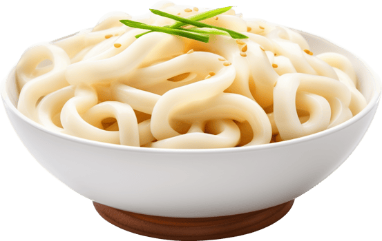 Udon with . png