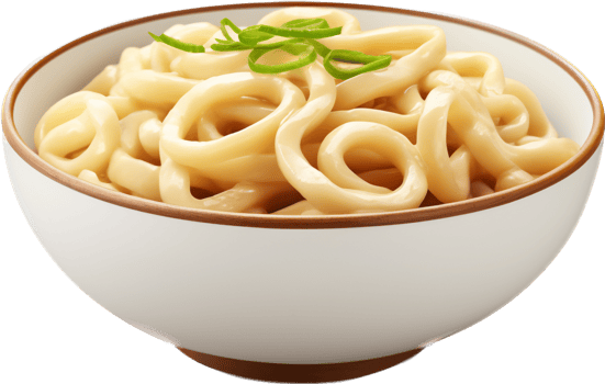 Udon with . png