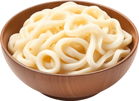 Udon with . png