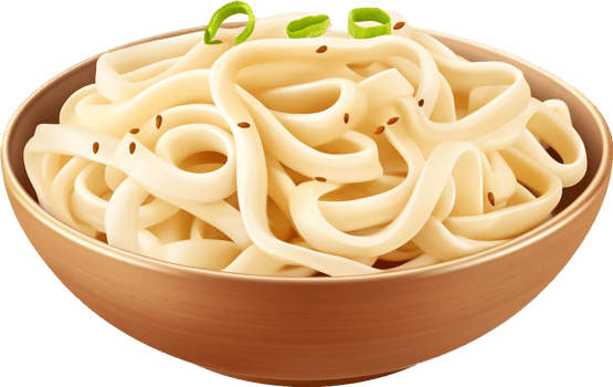 Udon with . png