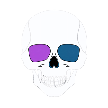 A drawing of a skull. AI-Generated. png