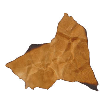 Brown Ripped Burnt Paper png