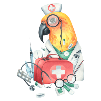 Parrot doctor in a dressing gown, glasses, with a stethoscope, a suitcase and medical instruments, pills, injections. Watercolor illustration, hand drawn. Isolated composition png