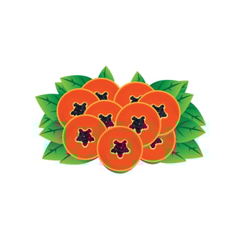 Papaya Logo Design, Vitamin Fruit Vector, Fruit Product Brand Illustration Icon vector