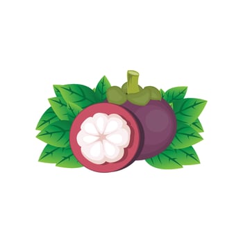 Mangosteen Logo, Health Fruit Design, Garden Farmer Vector, Symbol Element Template vector