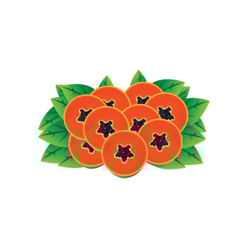 Papaya Logo Design, Vitamin Fruit Vector, Fruit Product Brand Illustration Icon vector