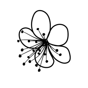 sakura cherry blossom flower line art vector illustration