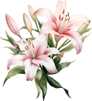 Lilies flowers watercolor ai generate png