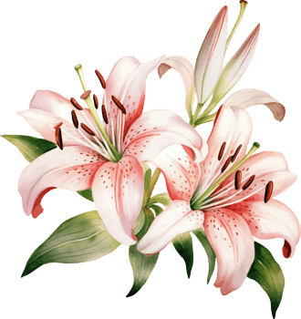 Lilies flowers watercolor ai generate png