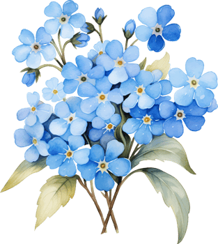 forgetmenot flowers watercolor ai generate png