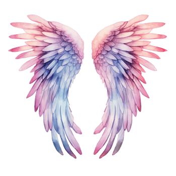 Watercolor angel wings isolated. Illustration png