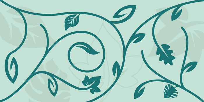 background leaves nature line floral beauty abstract illustration vector