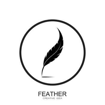 Feather logo vector template