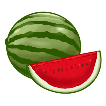 Illustration of watermelon fruit png