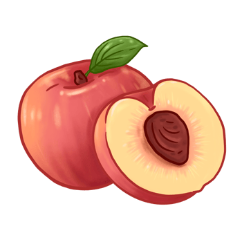 Illustration of peach fruit png