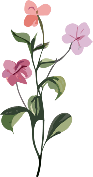 Watercolor hand drawn flowers illustration on transparent background png