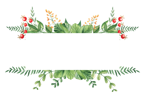 Watercolor floral horizontal frame. Red berries, fern, green branches, yellow wildflowers. Can be used for greeting cards, baby shower, banners, blog templates, logos and cosmetic design. png