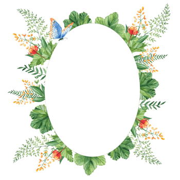 Cloudberry leaves and berries, fern, green branches, yellow wildflowers, blue butterfly. Watercolor oval summer forest frame. Hand drawn botanical illustration. Can be used as invitation card png