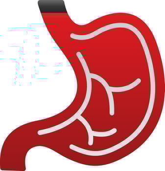 Stomach Vector Icon Design