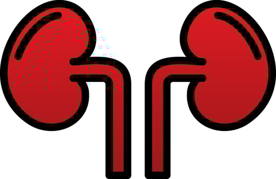 Kidney Vector Icon Design