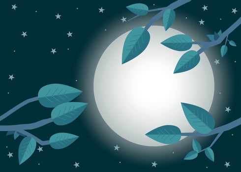 Cartoon sunset. Flat vector illustration, trees, leaf, moon and night.