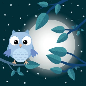 Colorful tree with cute owl. Cartoon bird in moon forest. Flat vector illustration.