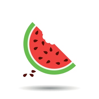 Watermelon icon. Juicy ripe fruit on white background vector