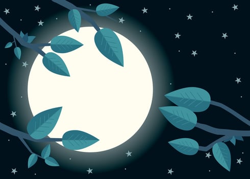 Cartoon night with moon. Flat vector illustration, trees, leaf and moon.