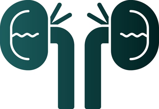 Kidney Vector Icon Design