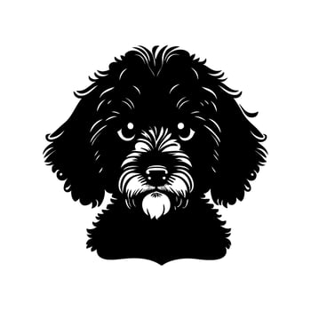Cute Black French Barbet Dog Portrait vector