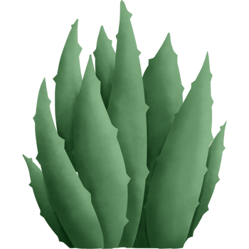 The cactus has green spikes. Designed for digital use, design, web design, reports, worksheets, templates. png